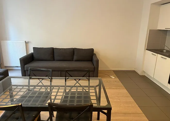 Brussels Center Flat