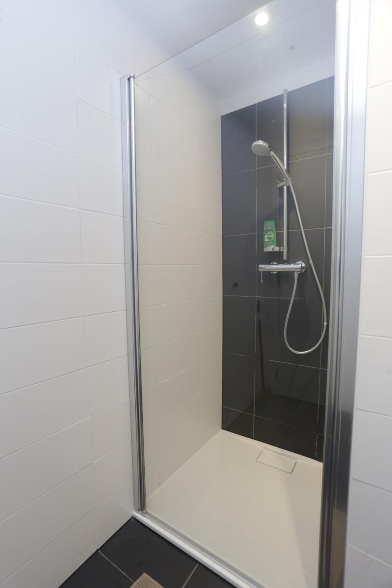 Appartement Center Flat
